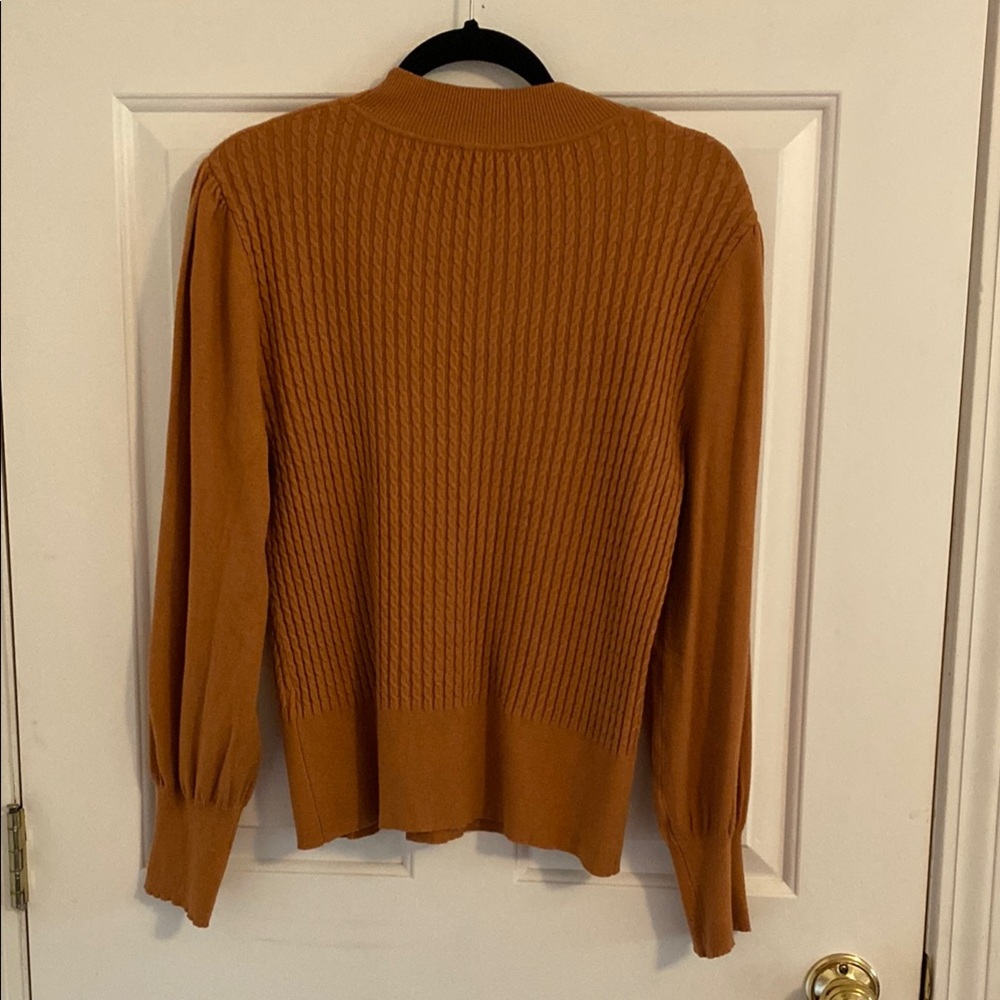 Adrianna Papell Rust Knit Sweater - Picture 3 of 5